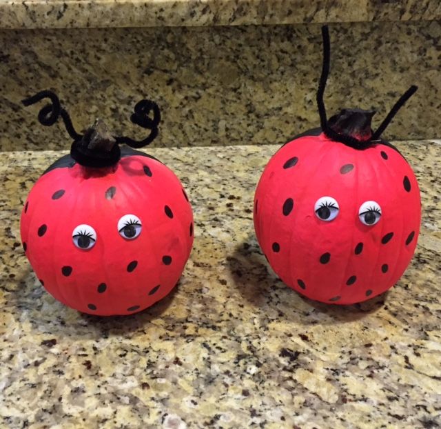 Pumpkins for Charity 2015