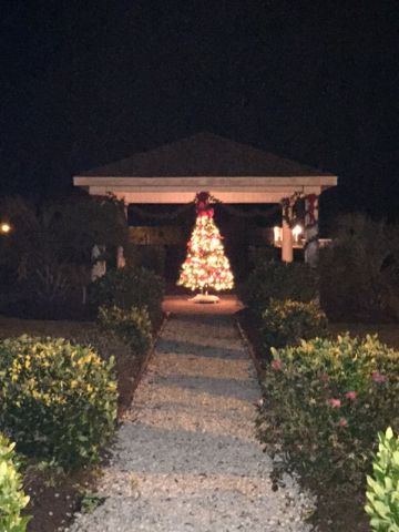 Holiday Decorating 12/05/15