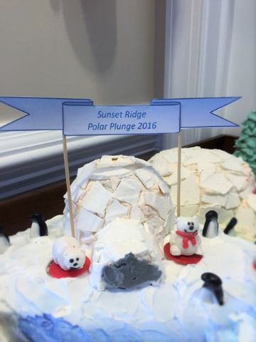 Polar Plunge 2/13/16